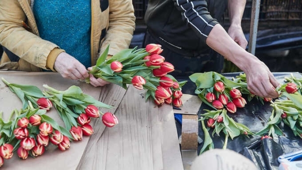 Битва за тюльпаны: драка между торговцами цветами во Владивостоке